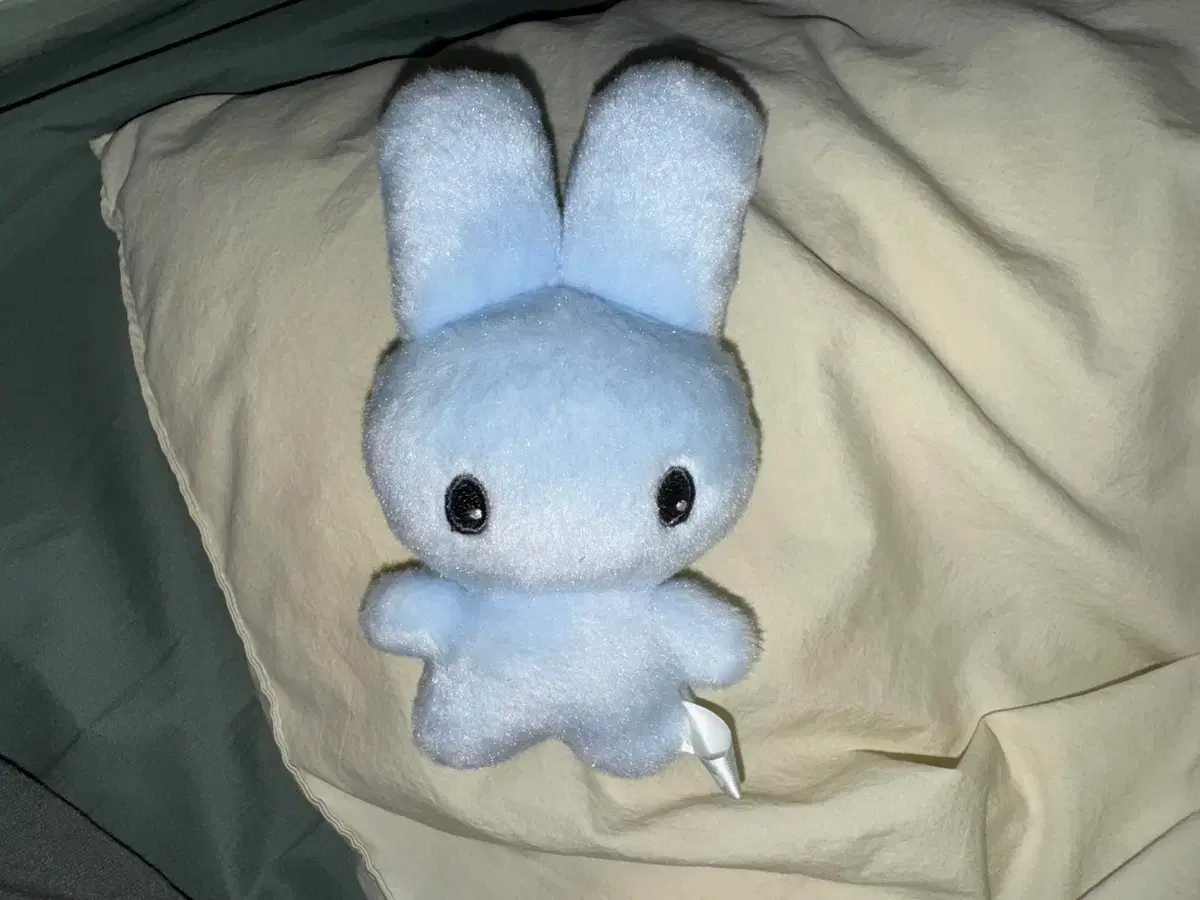 Ji Cho-yi Long-to Taek-in Doll #지초이컴포트,#지초이지토,#지초이